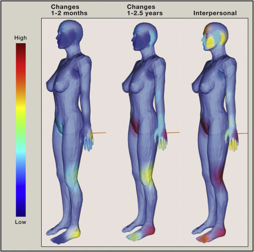 Os habitantes da minha&nbsp;pele