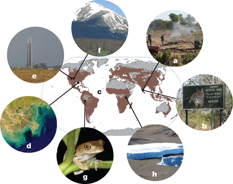 Indicadores precoces de mudanças críticas são importantes para gestão de sistemas&nbsp;socioecológicos