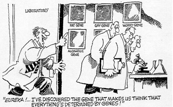 Dois significados de “gene” e o determinismo&nbsp;genético