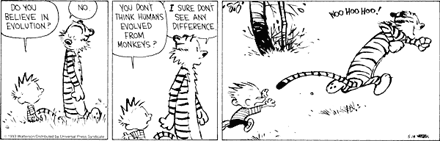 Por que devemos compreender evolução? (repost em homenagem ao aniversário de&nbsp;Darwin)