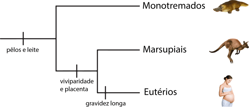file-20170725-13256-2b9l37