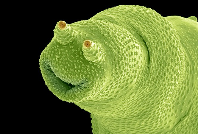 O que a biologia deste século pode nos&nbsp;trazer