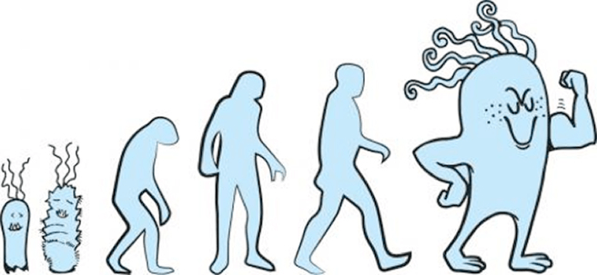 Observando a Evolução em tempo&nbsp;real